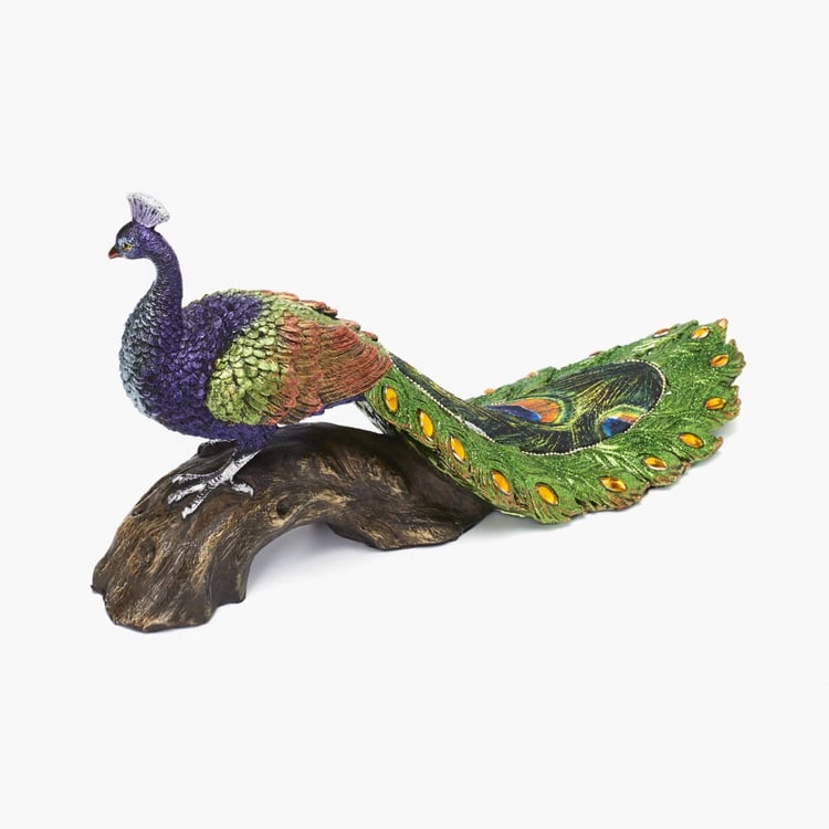 Galaxy Peacock on Log