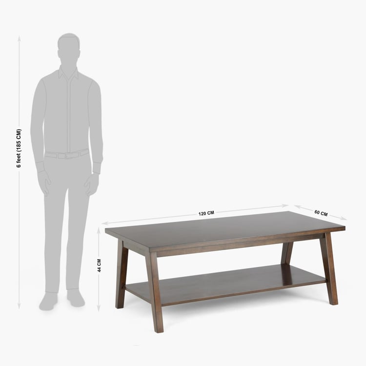 Zara Solid Wood Coffee Table