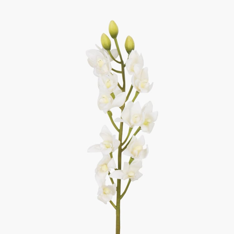 Botanical  Solid Artificial Plastic  Flowers : 10 cm x 55 cm - White