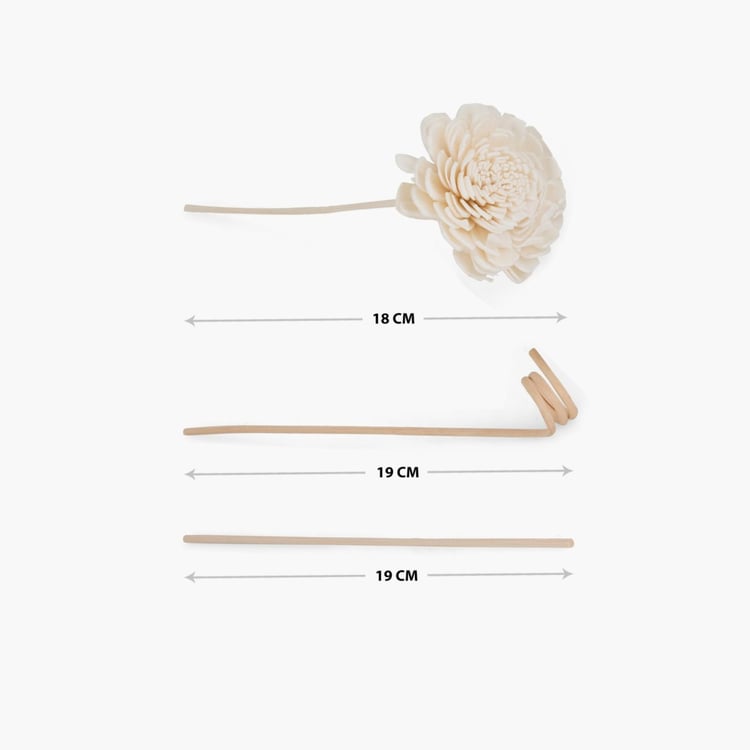 Redolence Bella Glass Reed Diffusers-Set Of 8 Pcs