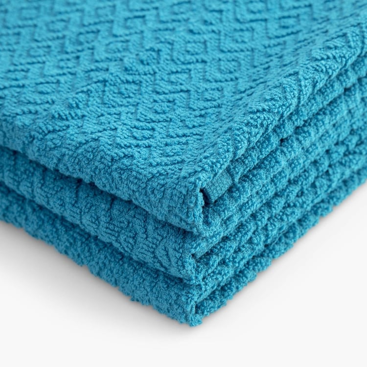 Supple Cotton Textured Kitchen Towels - Set of 3 - 40 x 60 cm