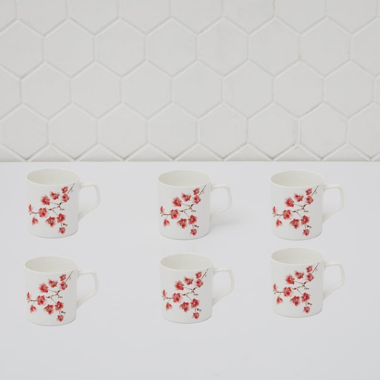 Mandarin Printed Coffee Mugs - Set of 6