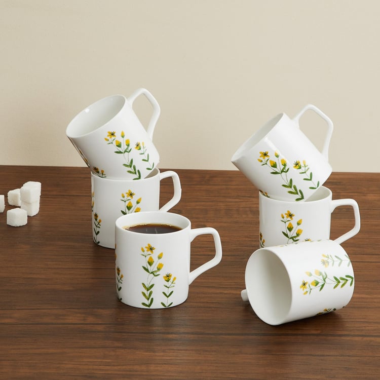 Mandarin-Lara Printed Mini Coffee Mugs - Set of 6 Pcs.