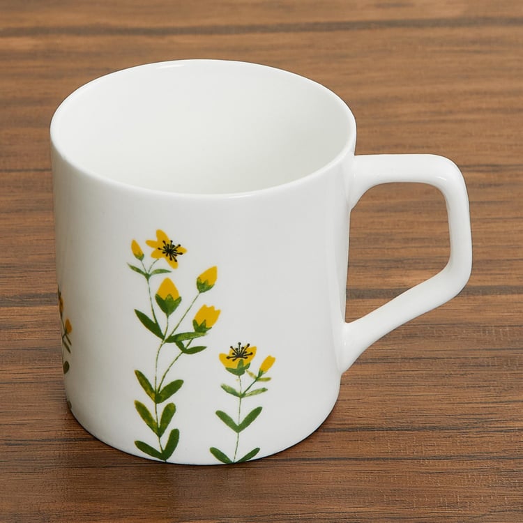 Mandarin-Lara Printed Mini Coffee Mugs - Set of 6 Pcs.