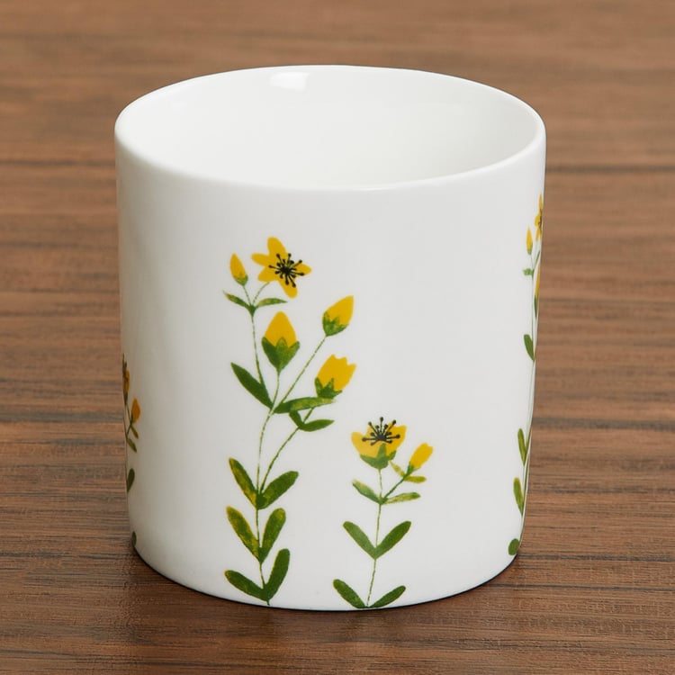Mandarin-Lara Printed Mini Coffee Mugs - Set of 6 Pcs.