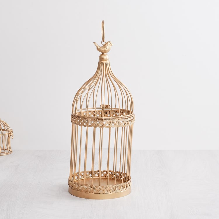 Splendid Bird Cage