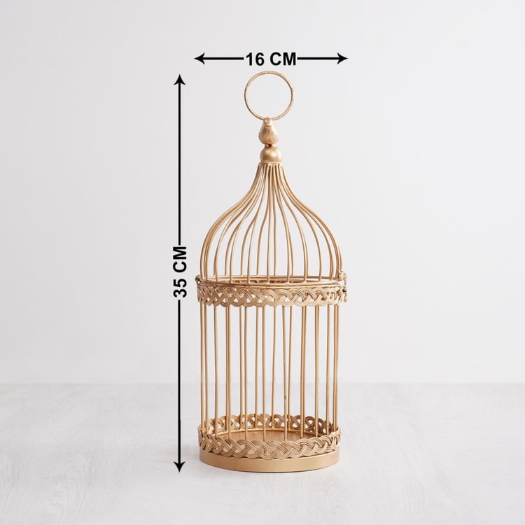 Splendid Bird Cage