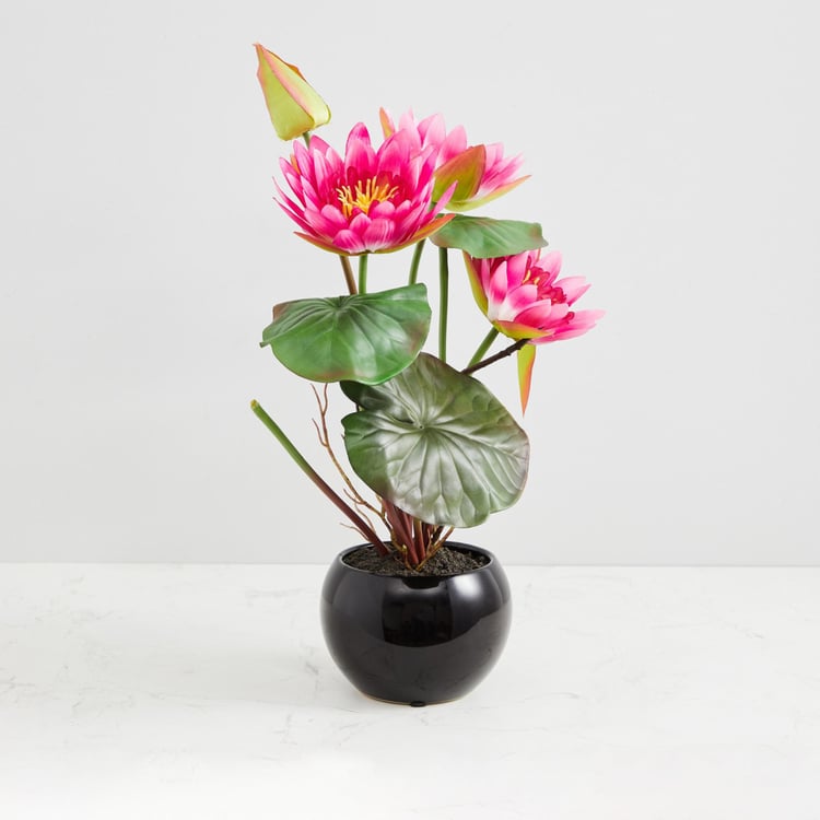 Valencia-Sachi Solid Four Head Lotus in Ceramic Pot