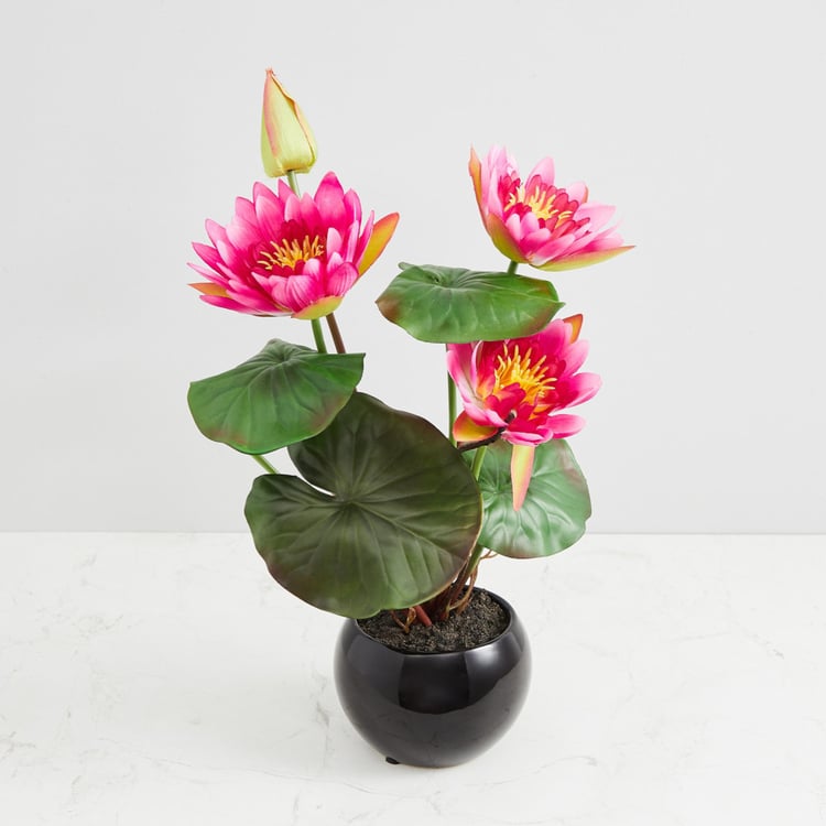 Valencia-Sachi Solid Four Head Lotus in Ceramic Pot