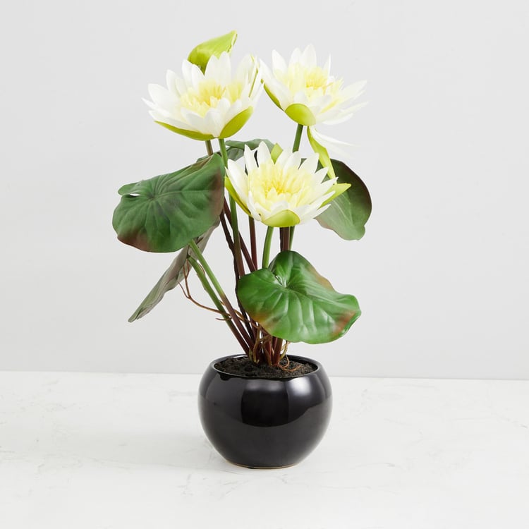 Valencia Lotus Artificial Flower in Ceramic Pot