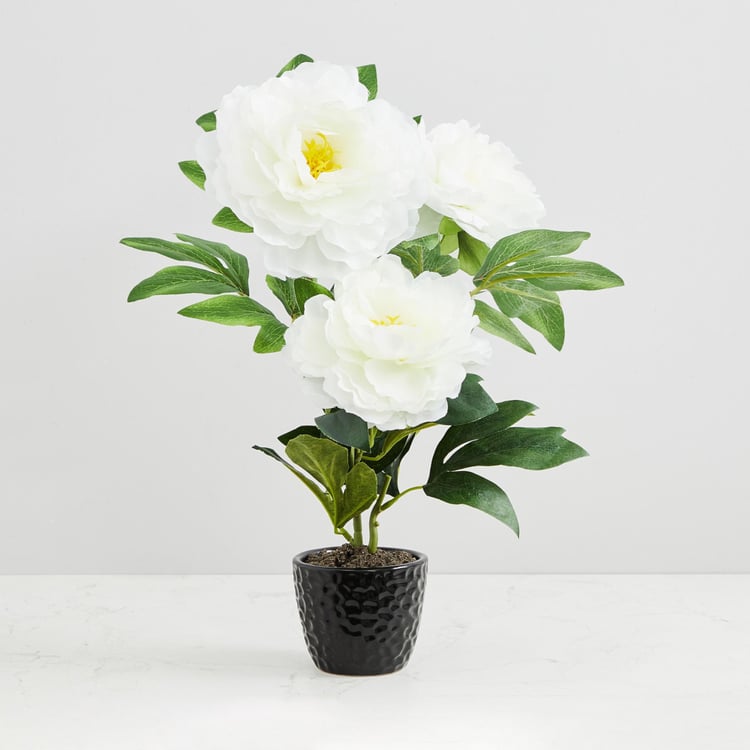 Valencia-Sachi Solid Three Peony in Ceramic Pot