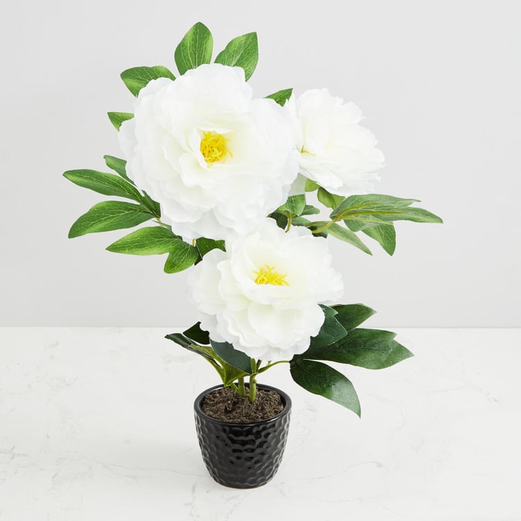 Valencia-Sachi Solid Three Peony in Ceramic Pot