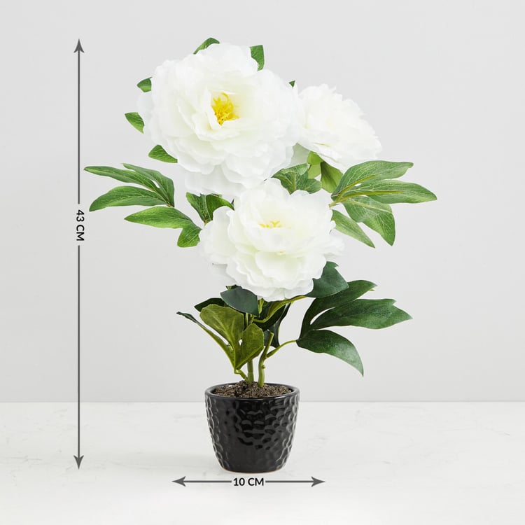 Valencia-Sachi Solid Three Peony in Ceramic Pot