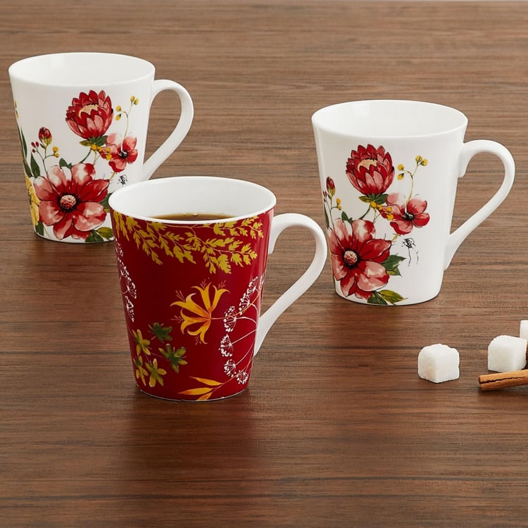 Mandarin Printed Bone China Mugs - Set Of 3 Pcs.