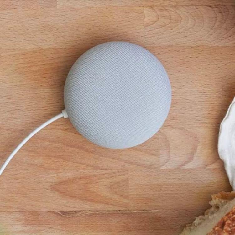 Google Home Mini Portable Speaker
