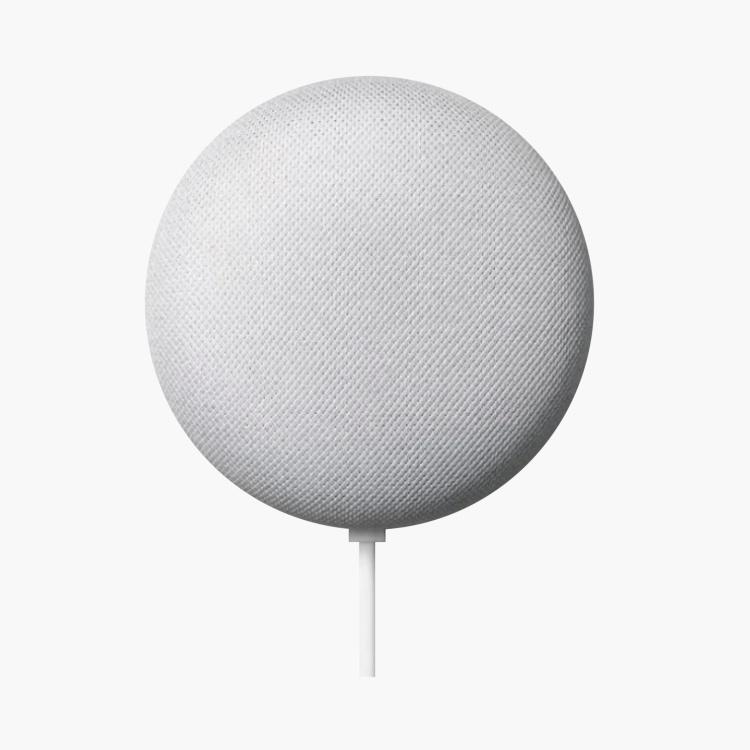 Google Home Mini Portable Speaker