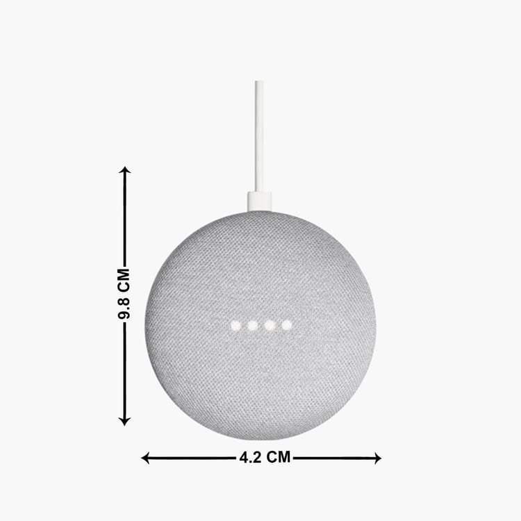 Google Home Mini Portable Speaker