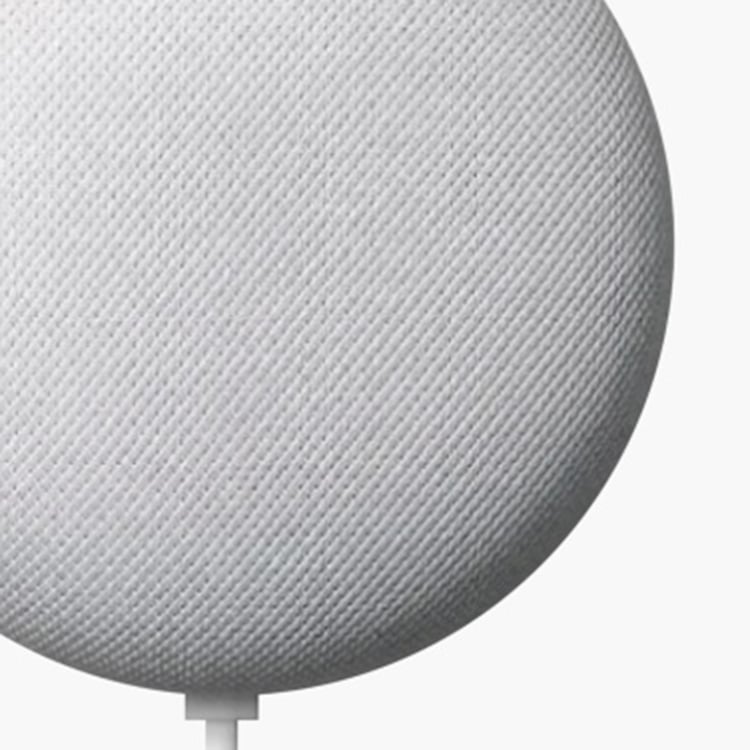 Google Home Mini Portable Speaker