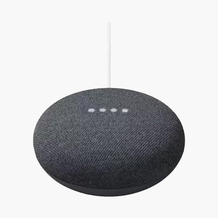 Google Home Mini Portable Speaker