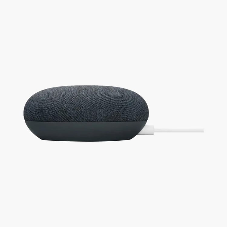 Google Home Mini Portable Speaker