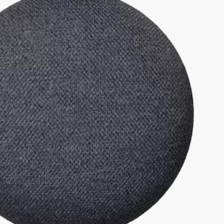 Google Home Mini Portable Speaker