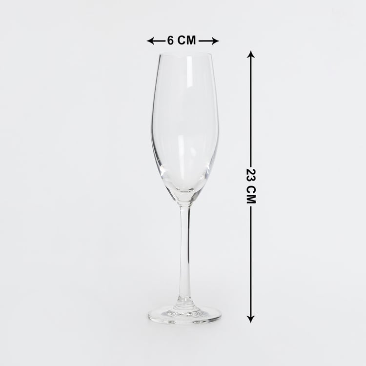 OCEAN  2-piece Sante Flute Champagne Glass set -210 ml  