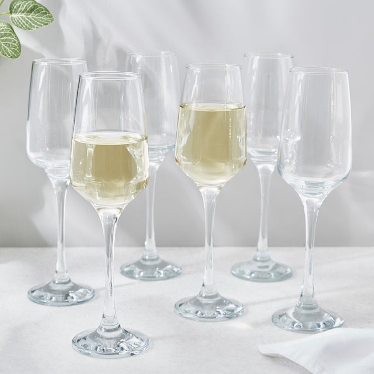 Wexford Firenze Champagne Glass - 330ml - Set of 6