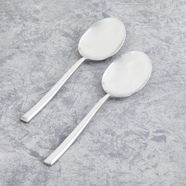 FNS 2-Piece Serving Spoon Set