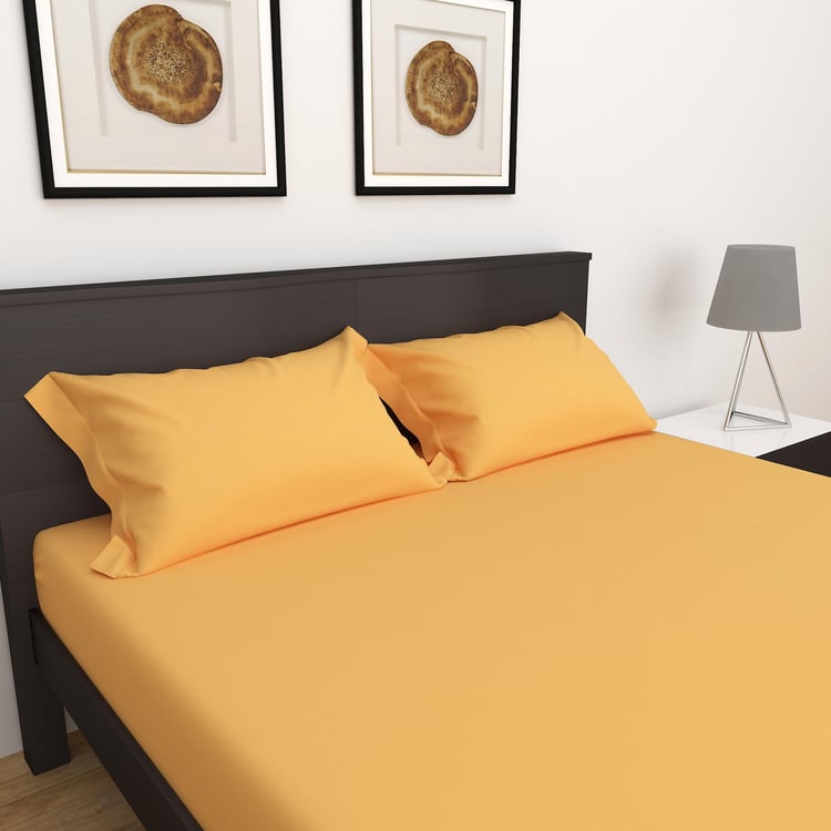 Colour Connect Solid King Fitted Sheet - Set Of 3Pcs - Cotton - 154 Tc - Yellow