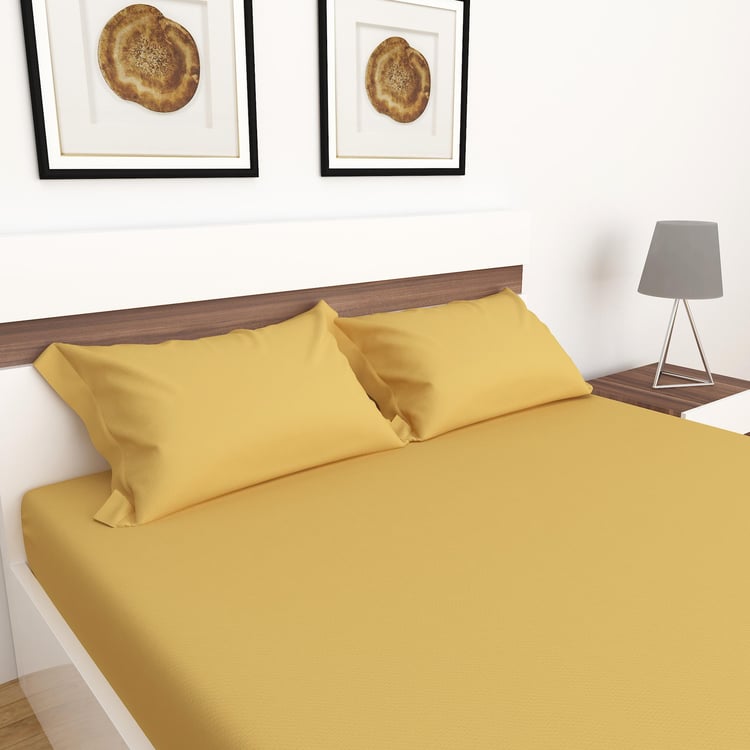 Colour Connect Yellow Cotton Queen Size Fitted Sheet - 1.50 x 1.95m - 3 Pcs