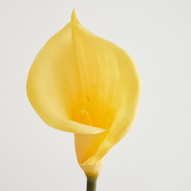 Botanical Calla Lily Artificial Flower