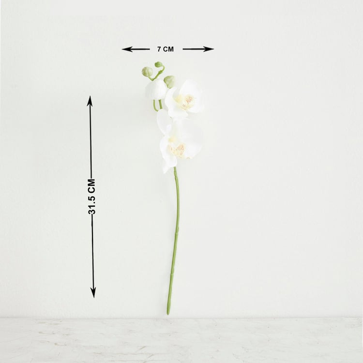 Botanical Phalaenopsis Artificial Flower