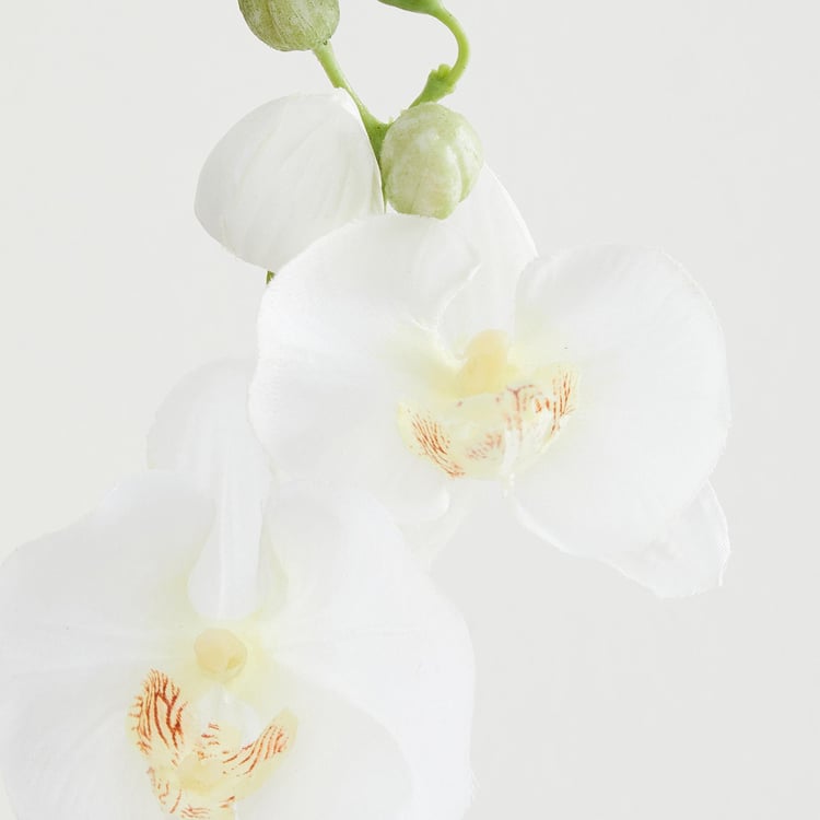 Botanical Phalaenopsis Artificial Flower
