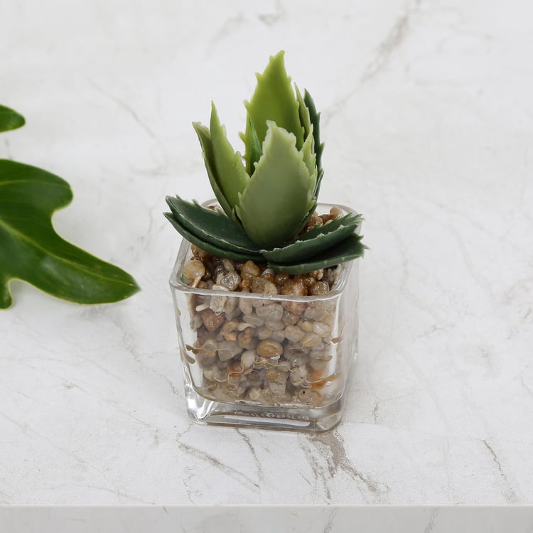 Gardenia Artificial Succulent in Glass Pot