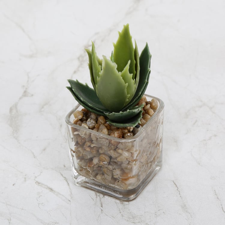 Gardenia Artificial Succulent in Glass Pot