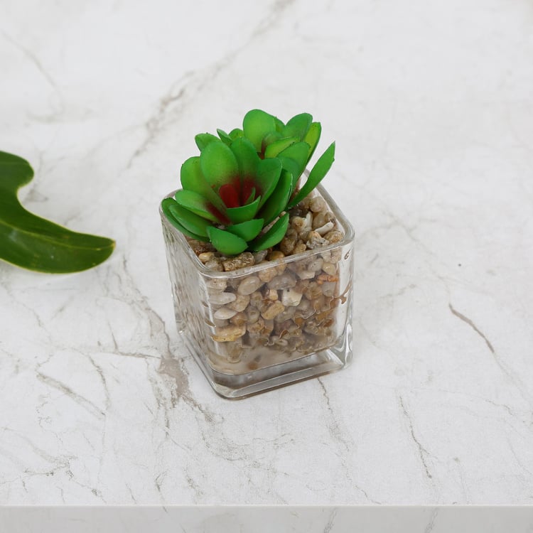 Gardenia Artificial Succulent in Glass Pot