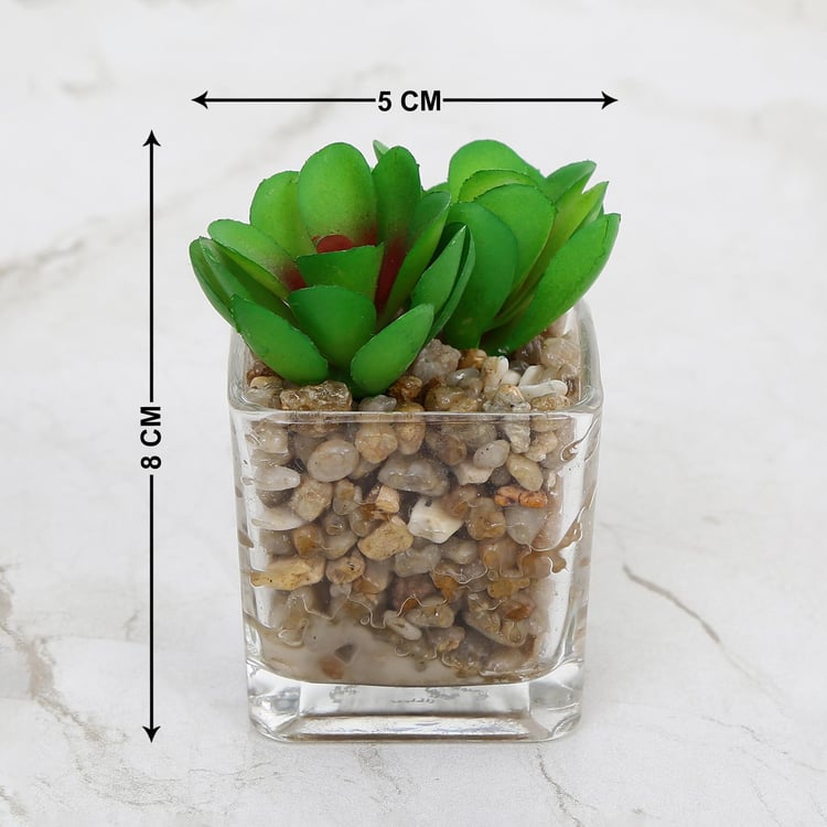 Gardenia Artificial Succulent in Glass Pot