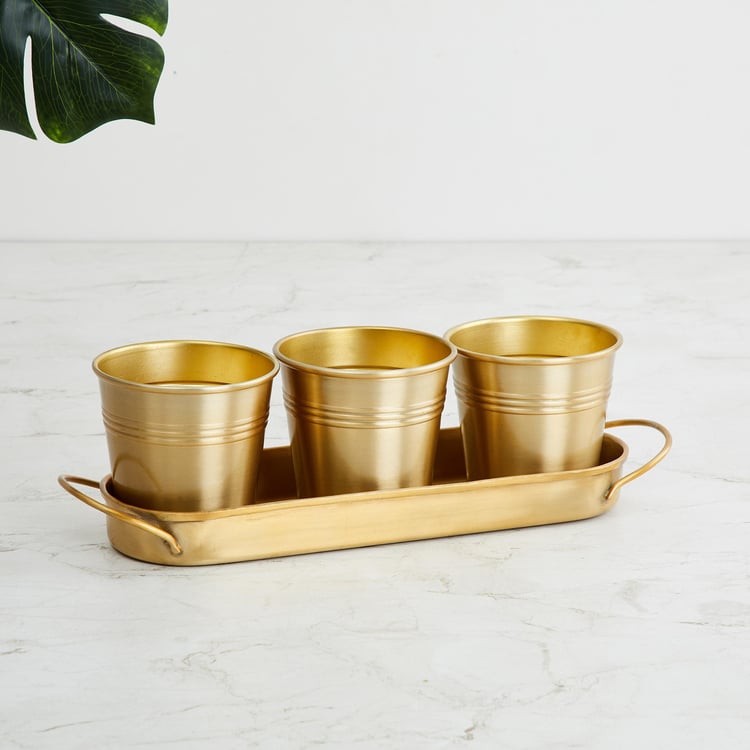 Valencia Gold Solid Metal Planter With Tray - 4Pcs