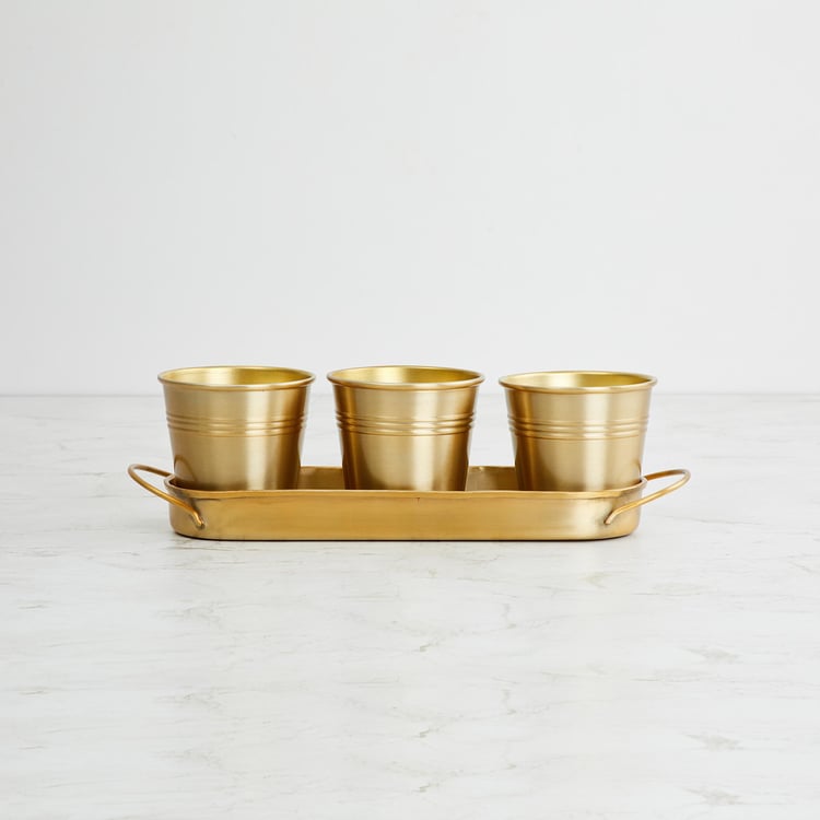 Valencia Gold Solid Metal Planter With Tray - 4Pcs