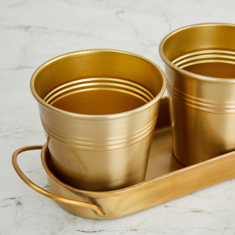 Valencia Gold Solid Metal Planter With Tray - 4Pcs