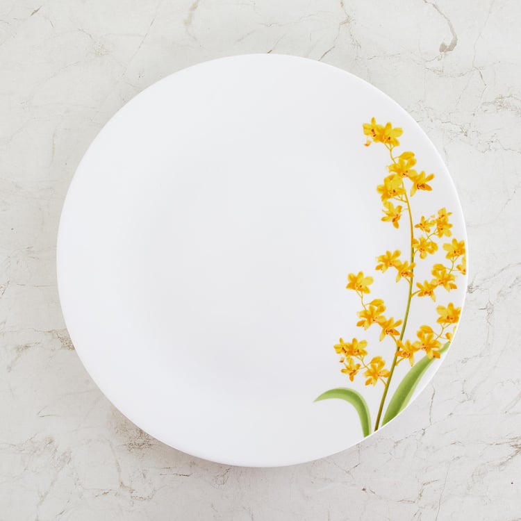 SOLITAIRE Printed Dinner Plate