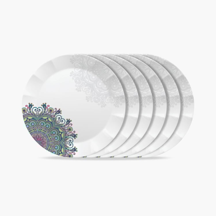SERVEWELL Printed Buffet Plates - Set of 6