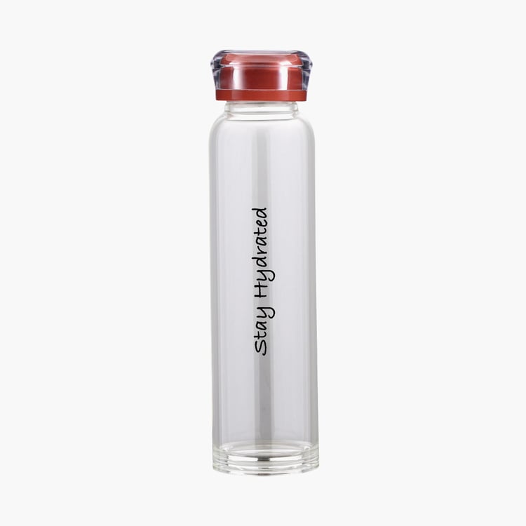 BERGNER Renberg Borosilicate Glass Water Bottle - 390ml