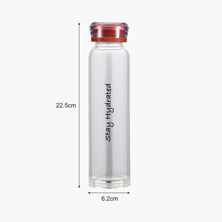 BERGNER Renberg Borosilicate Glass Water Bottle - 390ml