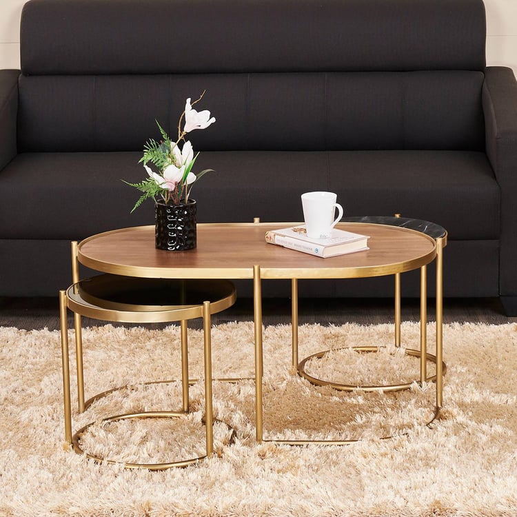 Noir Novelty Mango Wood Coffee Table - Brown
