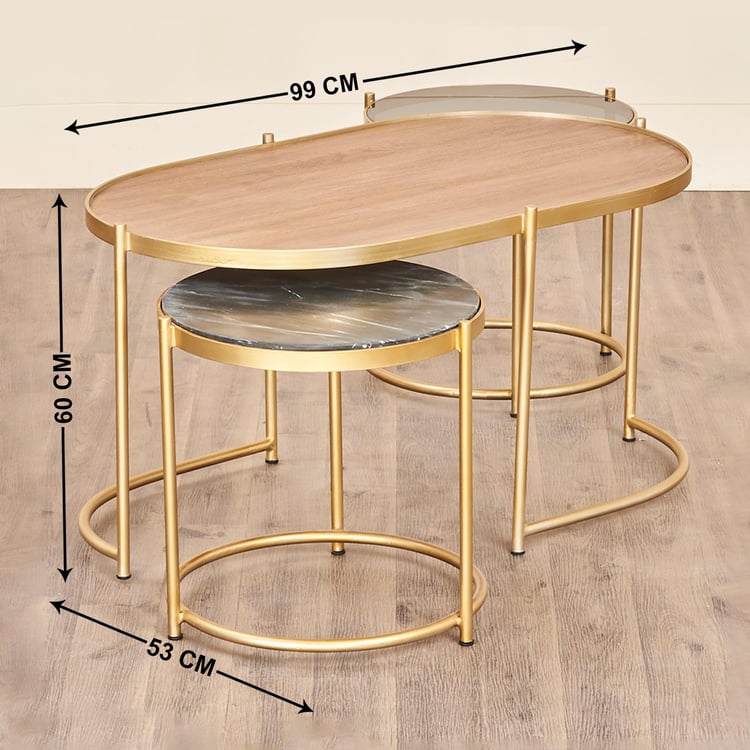 Noir Novelty Mango Wood Coffee Table - Brown