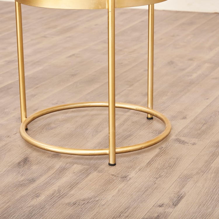 Noir Novelty Mango Wood Coffee Table - Brown
