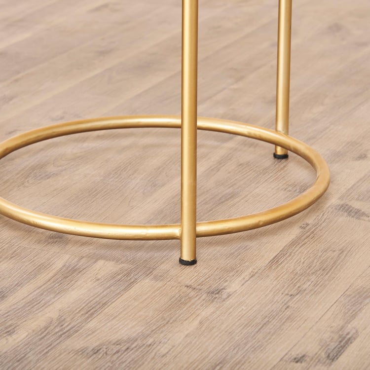 Noir Novelty Mango Wood Coffee Table - Brown