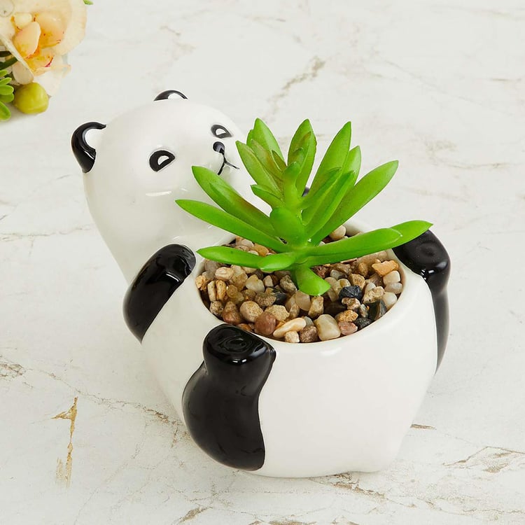 Garnet Elsa Artificial Succulent in Panda Planter