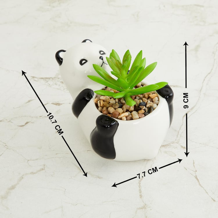 Garnet Elsa Artificial Succulent in Panda Planter